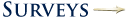 /netcat_files/83/78/surveys_0.png